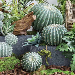 仿真植物网红仙人掌造景量天尺仙人柱类植物仙人球盆栽室内绿植