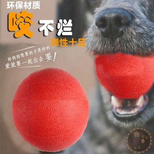 狗狗玩具球耐咬弹力实心宠物狗训练磨牙泰迪金毛中大型犬生活用品