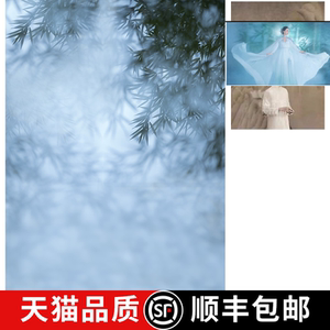 照背景汉服写真主题复古喷绘仿手绘油画背景工笔画个人写真艺术mh