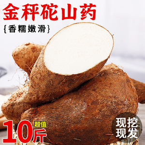 正宗金秤砣山药10斤云南新鲜生铁杆怀山棒小白嘴粉糯淮山约片