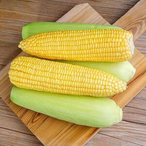农家老品种笨玉米现摘老家特产嫩包谷棒新鲜现掰黄苞米非甜非糯
