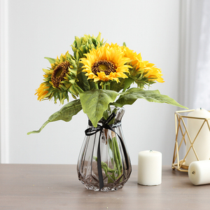 向日葵鲜花花卉奶油向日葵泰迪向日葵太阳花插花水养容易养花期长