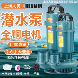 上海人民潜水泵220V380V清水泵农用灌溉泵家用大流量高扬程抽水泵