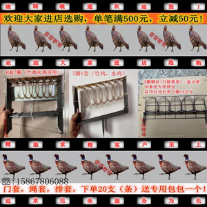 观赏竹鸡笼养殖竹鸡斑鸠白面水鸡鹧鸪毛鸡鸟笼工具全套网罩笼套子