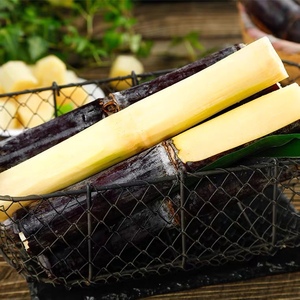 广西特产黑皮甘蔗10斤当季孕妇水果新鲜整箱脆甜红皮蔗甜杆包邮5