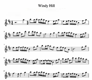 纯音乐 windy hill-羽肿 小提琴谱 五线谱2页 送伴奏音频