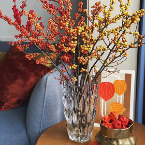 冬青花瓶玻璃透明养冬青花专用插红果发财果红浆果花器红金福禄果