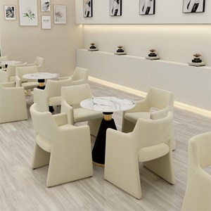 创想北欧简约休闲餐椅咖啡厅主题售楼处异形创意高级接待洽谈桌椅