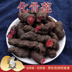 云南野生药材苗药骨科化骨莲 紫参草河车草血竭水洗拳参500克包邮