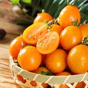 广西黄色小番茄黄金圣女果小西红柿现摘即食3斤新鲜小果孕妇水果