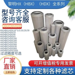 LH黎明液压滤芯HX/HDX/HBX/25/63/100/160/400/630/800/1000/1300