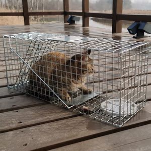 抓猫笼野猫捉猫神器猫狗丢失捕抓笼新款捕抓器特大笼子救助捕猫笼
