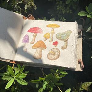 990人付款天猫东巴纸本东巴纸典云南丽江东巴纸笔记本纳西族手工艺品