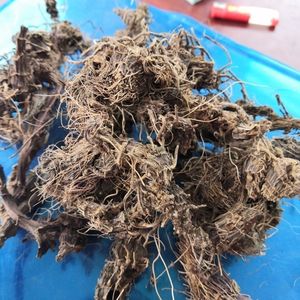 九子连环草