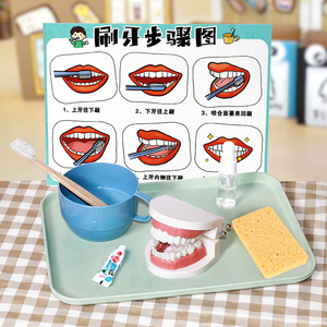幼儿园生活区刷牙玩具儿童蒙氏教具早教牙齿模型演示小班区域材料