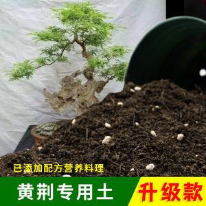黄荆专用土盆栽盆景绿植黄荆专用营养土酸性通用有机种植肥料土壤