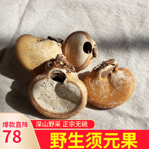 野生须元果隐孔菌中药材云南荷松橄榄觅阳果耶香豆100g