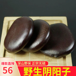 肾果风流果