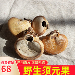 野生须元果隐孔菌中药材云南荷松橄榄觅阳果耶香豆100g