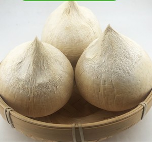 海南牛奶椰子新鲜椰皇香甜水果8个孕妇小椰青汁奶冻肉煲鸡汤包邮1