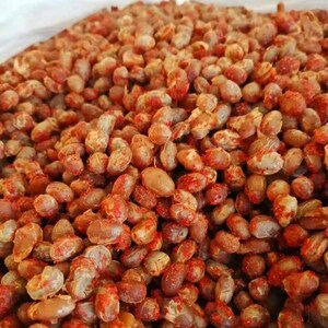 恩施土家族特产巴东农家豆豉 手工豆豉下饭菜酱豆风味豆豉