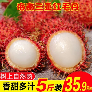 红毛丹当季现摘海南新鲜水果毛丹果毛荔枝红杜丹孕妇水果特产