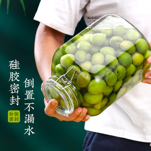 泡酒瓶高档密封玻璃青梅梅子酒罐杨梅果酒专用酒瓶空瓶罐子带龙头