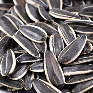 生瓜子大颗粒内蒙古葵花籽炒货原味葵花瓜子生熟可选香脆瓜子零食