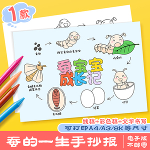 蚕的一生手抄报模板小学生蚕生长过程蚕宝宝成长记涂色线稿儿童画