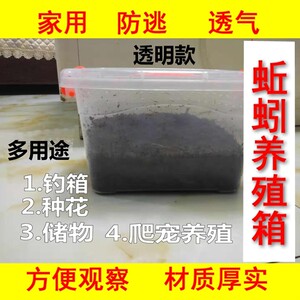 黄粉虫养殖盒子