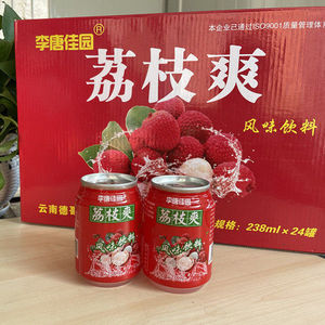 网红荔枝爽一整箱饮料24瓶草莓菠萝多冰糖雪梨口味混合罐装果汁