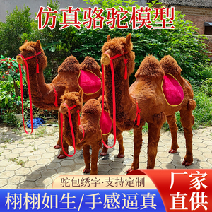 仿真动物骆驼模型大型骆驼摆件皮毛工艺品动物标本景区展览道具