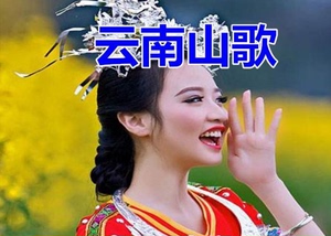 云南山歌经典碟片图片
