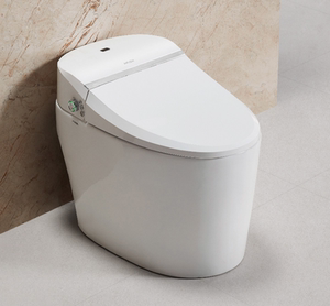 【门店同款】箭牌卫浴妇洗智能马桶一体式全自动智能坐便器ad802h