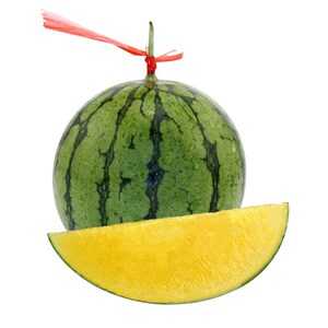 【黄小玉西瓜籽】黄小玉西瓜籽品牌,价格 - 阿里巴巴