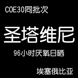 24埃塞俄比亚DWD圣塔维尼西达摩74158 96小时厌氧日晒 咖啡生豆