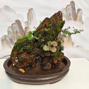 松皮石一物一拍