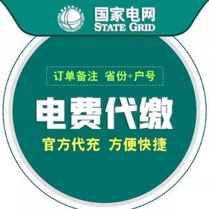 电费代缴国家电网充值100元福建河南河北湖南湖北陕西山西北京