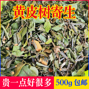 黄皮树寄生