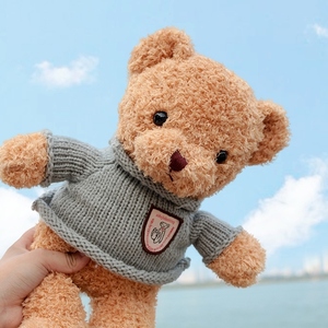 躲猫猫玩具熊网红可爱公仔女孩男孩宝宝抱枕睡觉泰迪熊毛绒摆件