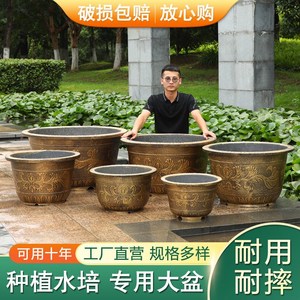 卖鱼盆