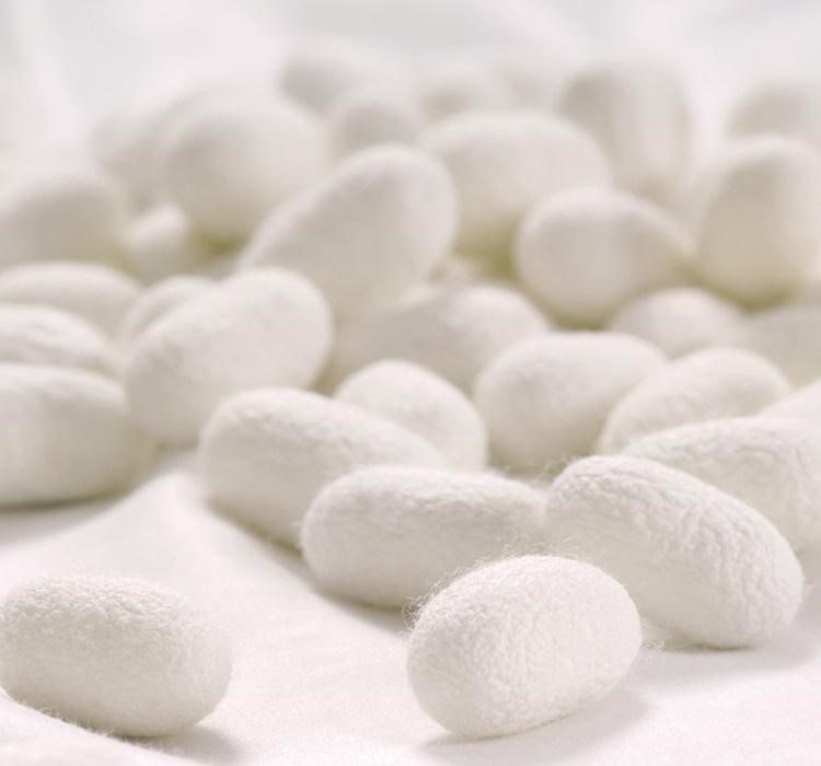 去黑头天蚕蚕g壳清洁蚕茧茧肤美小蝉茧然茧壳洗茧脸美肤x1.