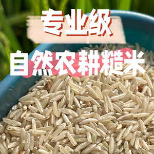 农家有机糙米当季长粒新米胚芽米五谷杂粮自然农耕无农药专业级