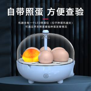 儿童孵蛋器全自动智能小型家用孵化机玄凤鹦鹉蛋受精种蛋箱鸡卢丁