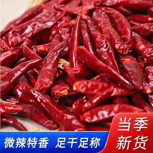 新一代干辣椒二荆条小米辣250g微辣特香四川贵州特产干辣椒面散装