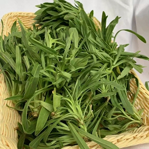新鲜面条菜野菜3斤包邮山东面条棵菜羊蹄稞柳叶菜蒸菜食材现挖