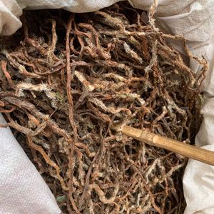 中草药白毛蛇根500克石奇蛇中药材阴石蕨石蚕老鼠尾白毛骨碎补