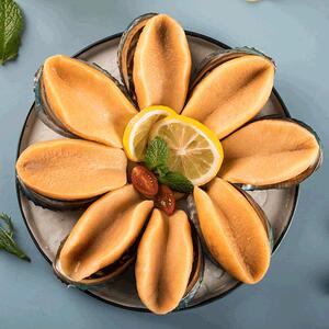 三斤黄金鲍鱼澳鲍新鲜海鲜冷冻去壳去脏纯肉特大澳鲍螺肉