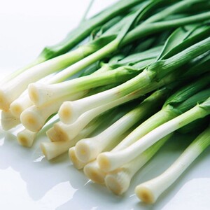 香大蒜苗种子大蒜种子青蒜苗春秋四季播盆栽阳台农家大田蔬菜种子