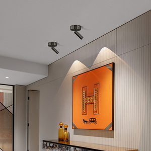 明装吸顶墙灯无主灯客厅照明装饰画射灯可旋转衣帽间卧室床头壁灯